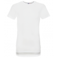 Koszulka t-shirt robocza extend - 6176.png